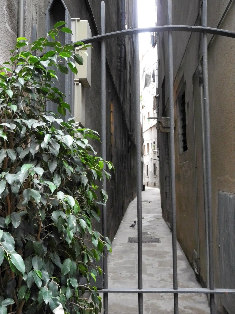 Carrer de les Mosques