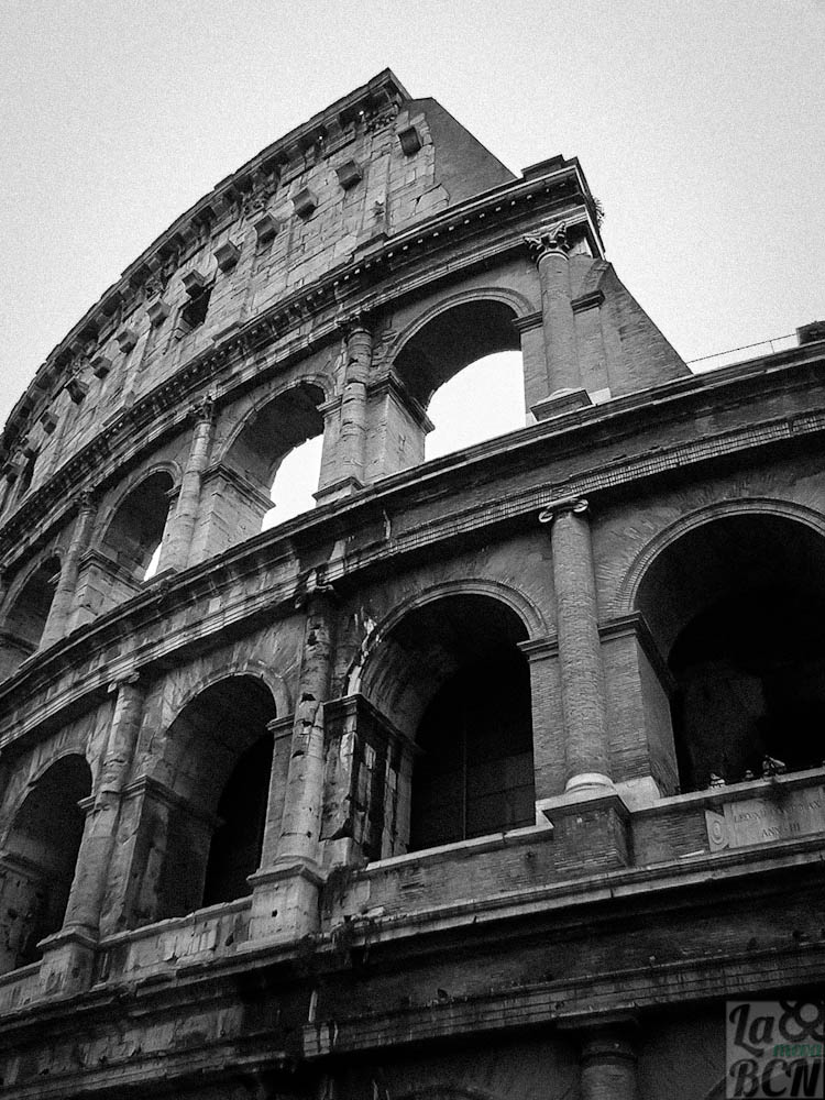 Roma. 26-29 Noviembre 2004 101